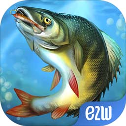 蜂鸟电竞app官方下载